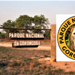Parque Nacional da Gorongosa – Vaga para Coordenador de Marketing e Relações Públicas
